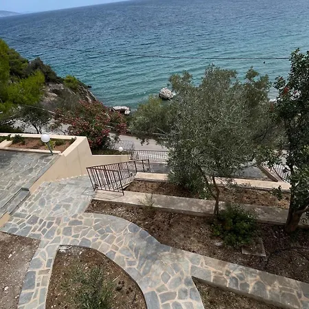 Zenso * Τολό