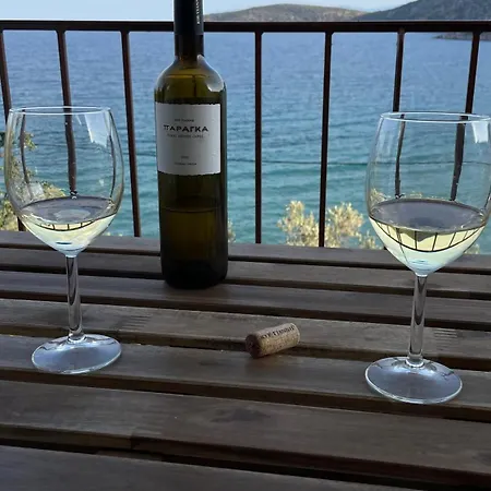 Zenso Τολό